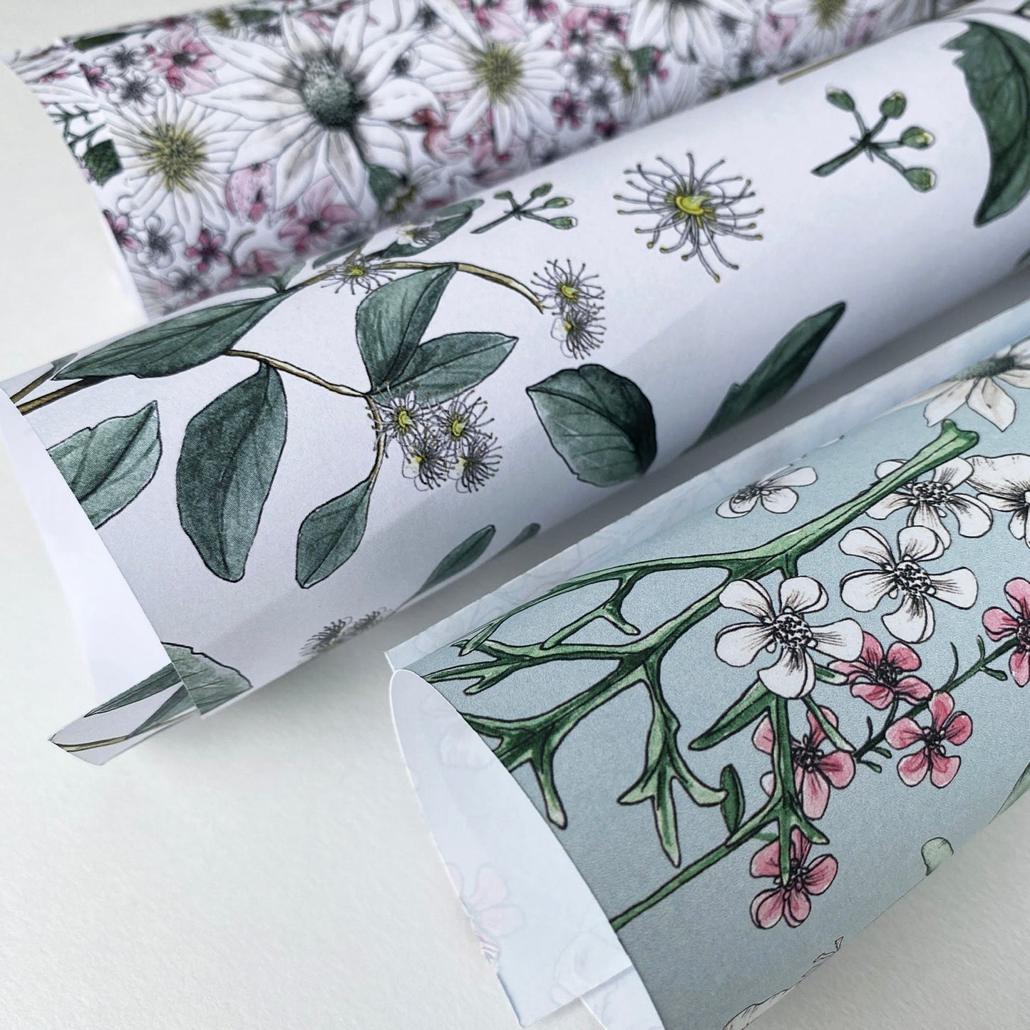 Gift Wrap/AUSSIE BOTANICALS