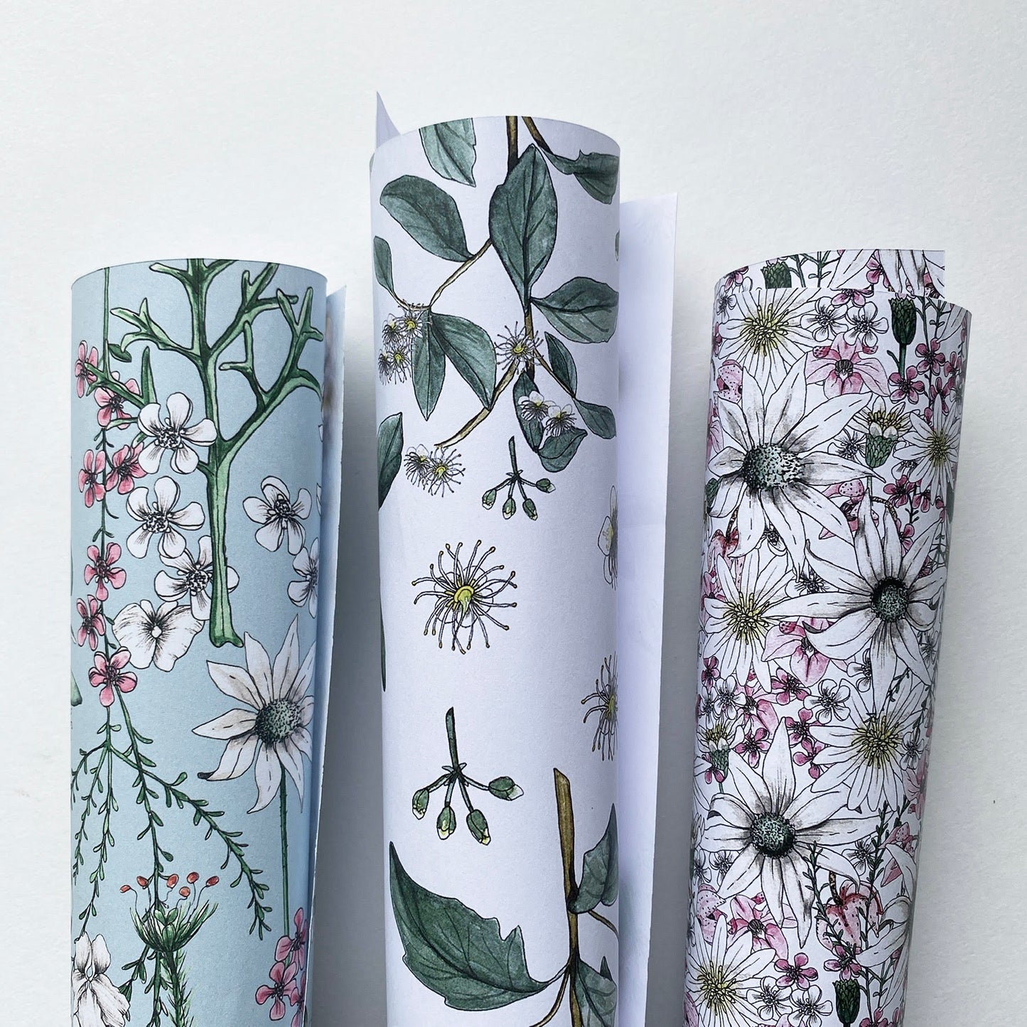 Gift Wrap/AUSSIE BOTANICALS