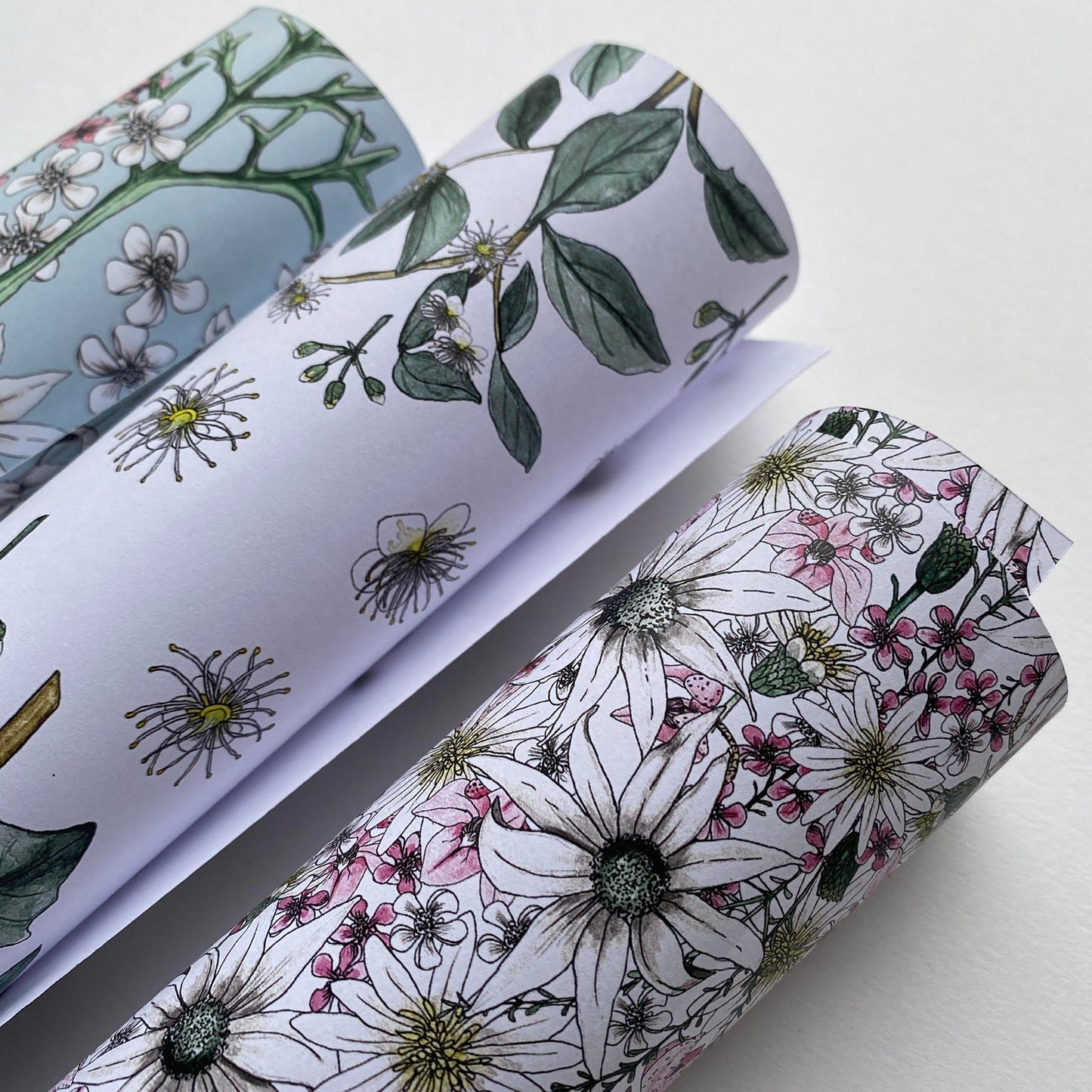 Gift Wrap/AUSSIE BOTANICALS