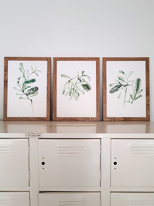 Set of three prints, featuring hand painted banksia