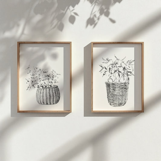 ART PRINTS Cane Basket/Gum Leaf / Basket/Eucalyptus