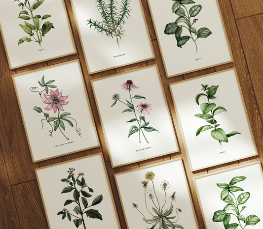 HERB Watercolour prints/A5/Kitchen Art