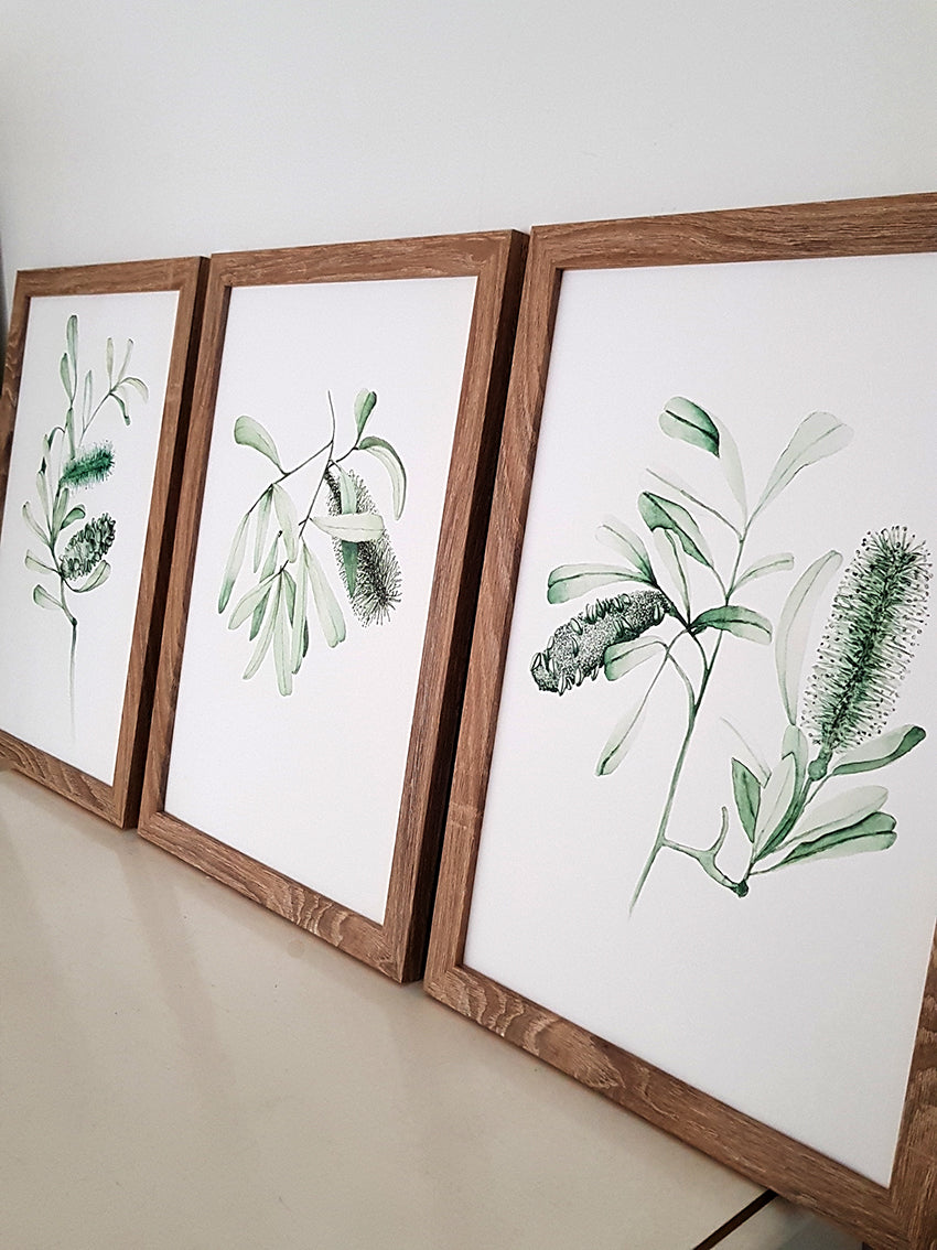 Close up of set of three banksia watercolour paintings