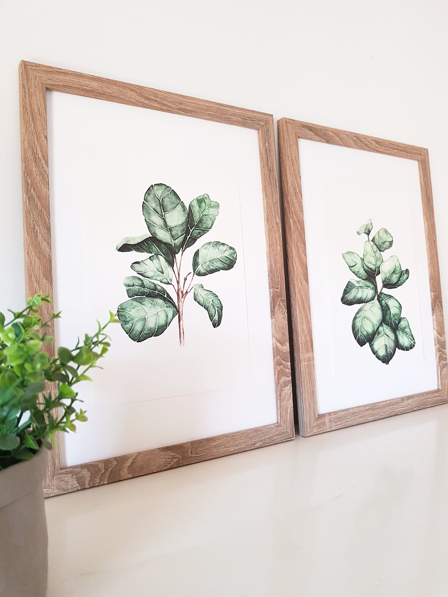 2 Alternative styles of a fiddlie leaf fig tree branch and leaves, painted in green using watercolour
