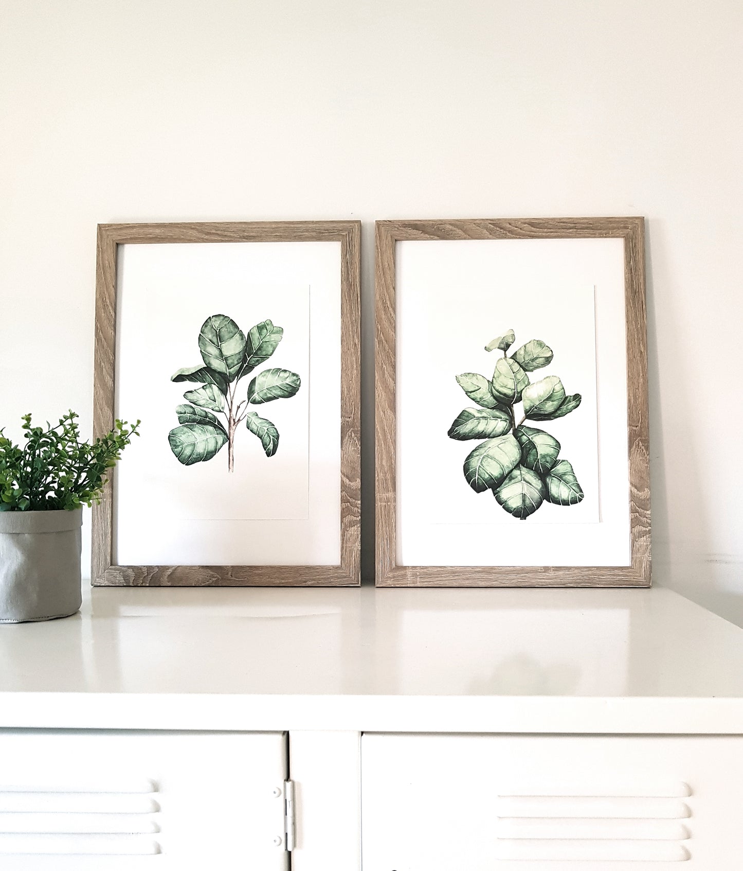 2 styles of fiddle leaf fig leaves framed in a timber frame, prints for the home