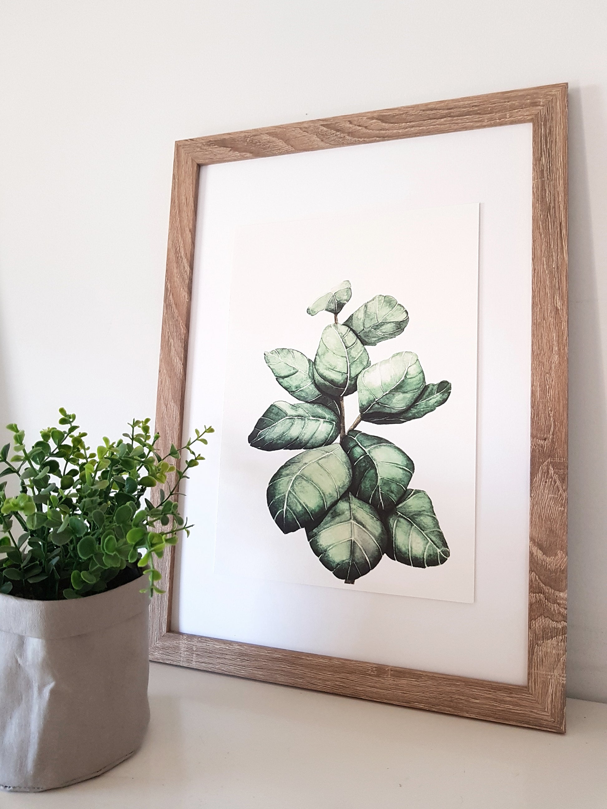 Fiddle fig leaf watercolour in green and framed in a natural timber frame