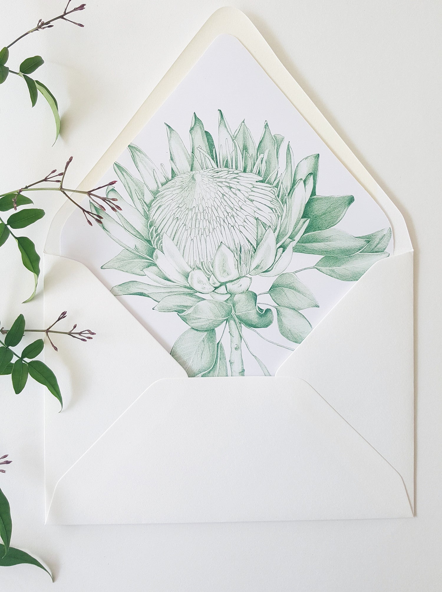Protea Envelope liner, in green. Hand drawn, envelope template
