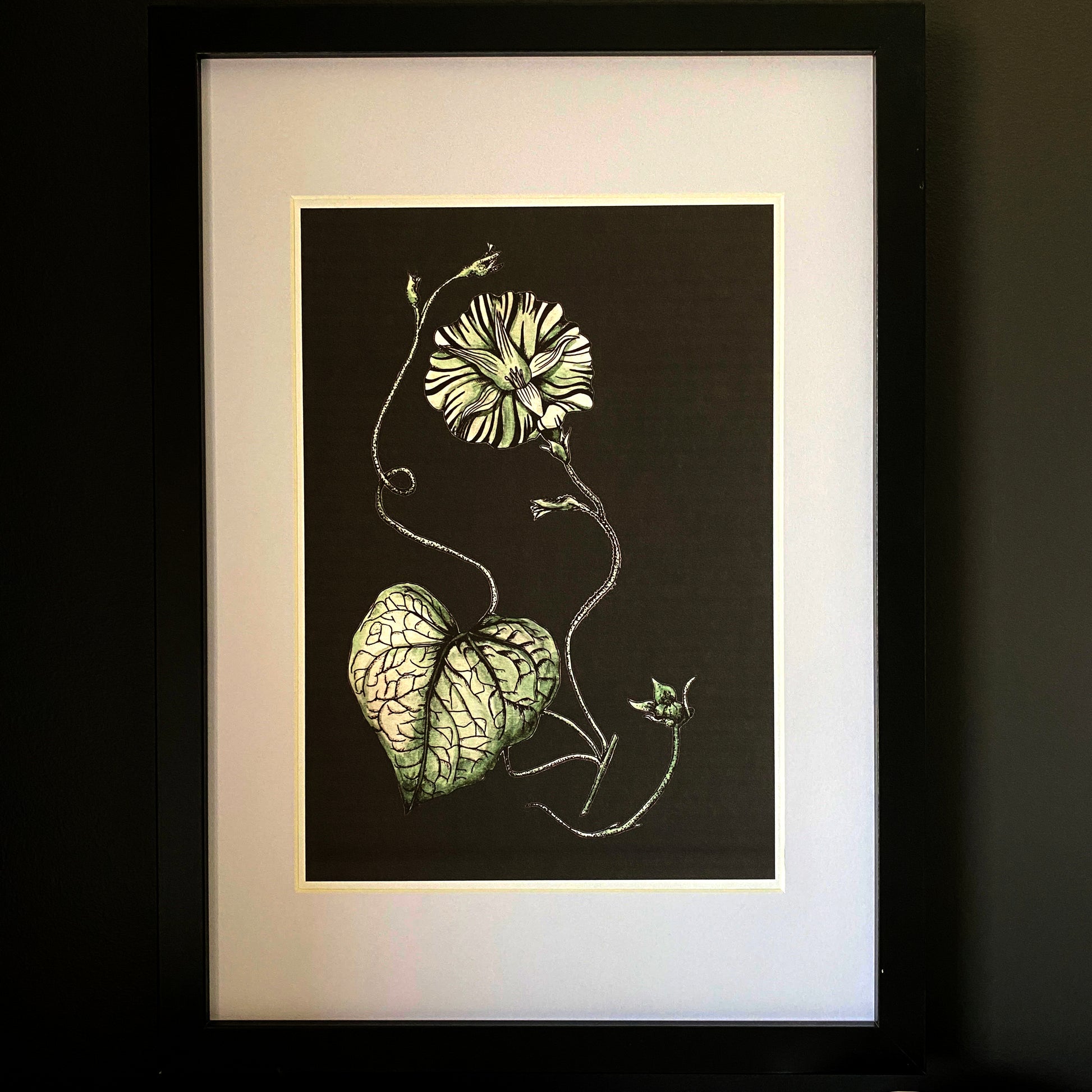 Stunning vintage style botanical bloom, painted using sage green watercolour, the veins and petals have depth from the line art drawn in