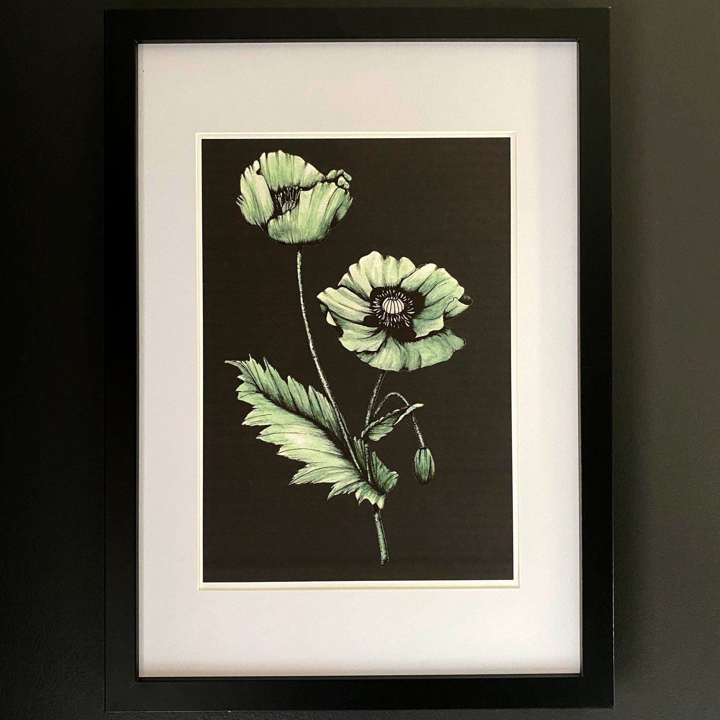 Poppy watercolour art print. Hand painted in green, with line art for shadows