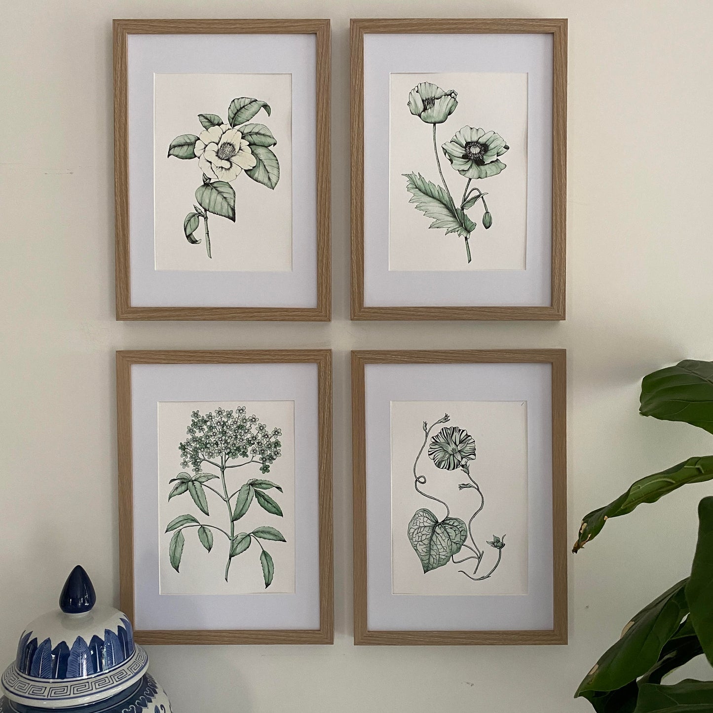 Set of 4 botanical art prints. Featuring a vintage style, these prints will add interest to any room