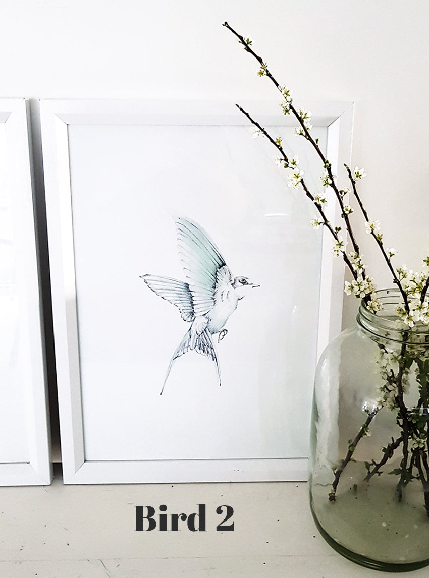 Swallow Bird Prints-Set of 5, 3 or 2