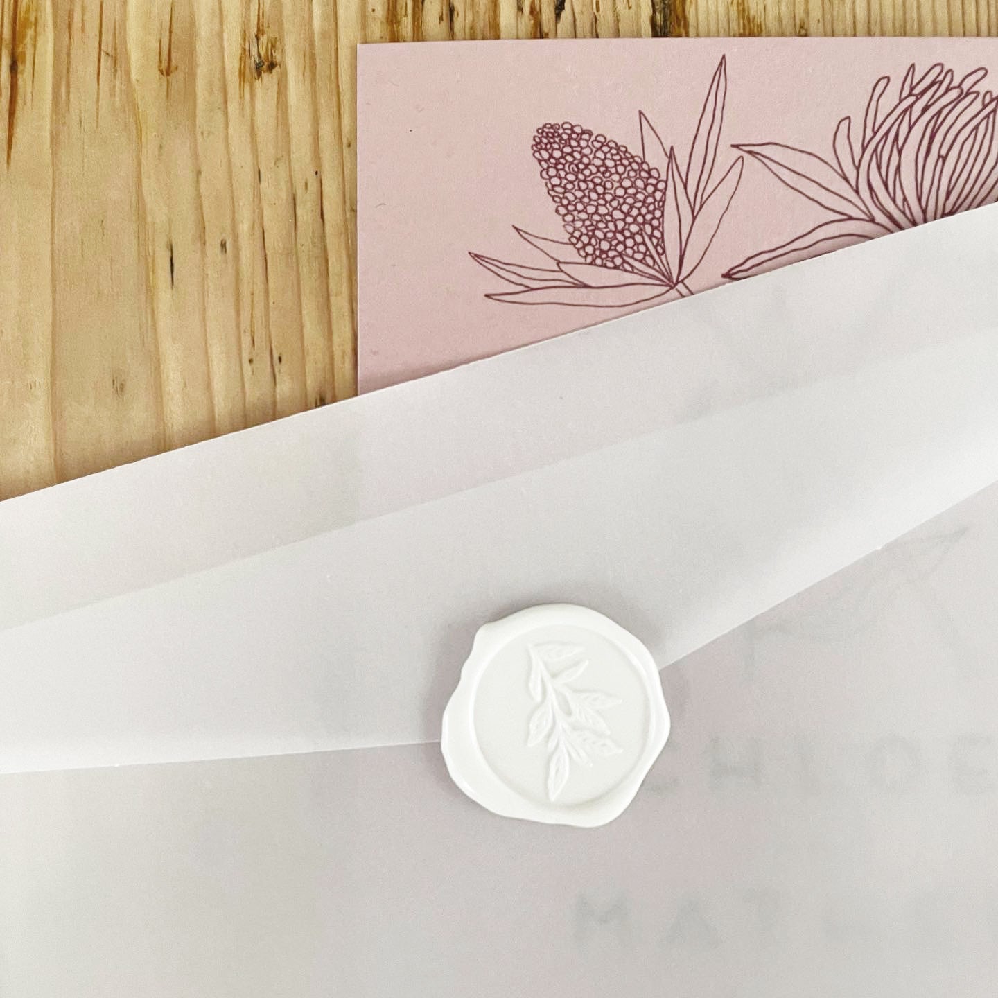 vellum envelope, translucent envelope, see through envelope