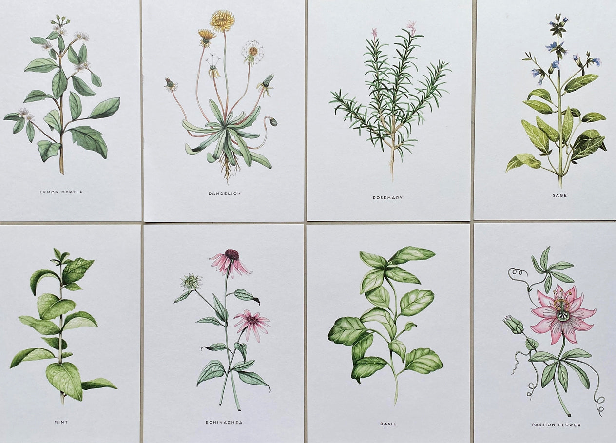 Herb watercolour art, full set of 8 prints.