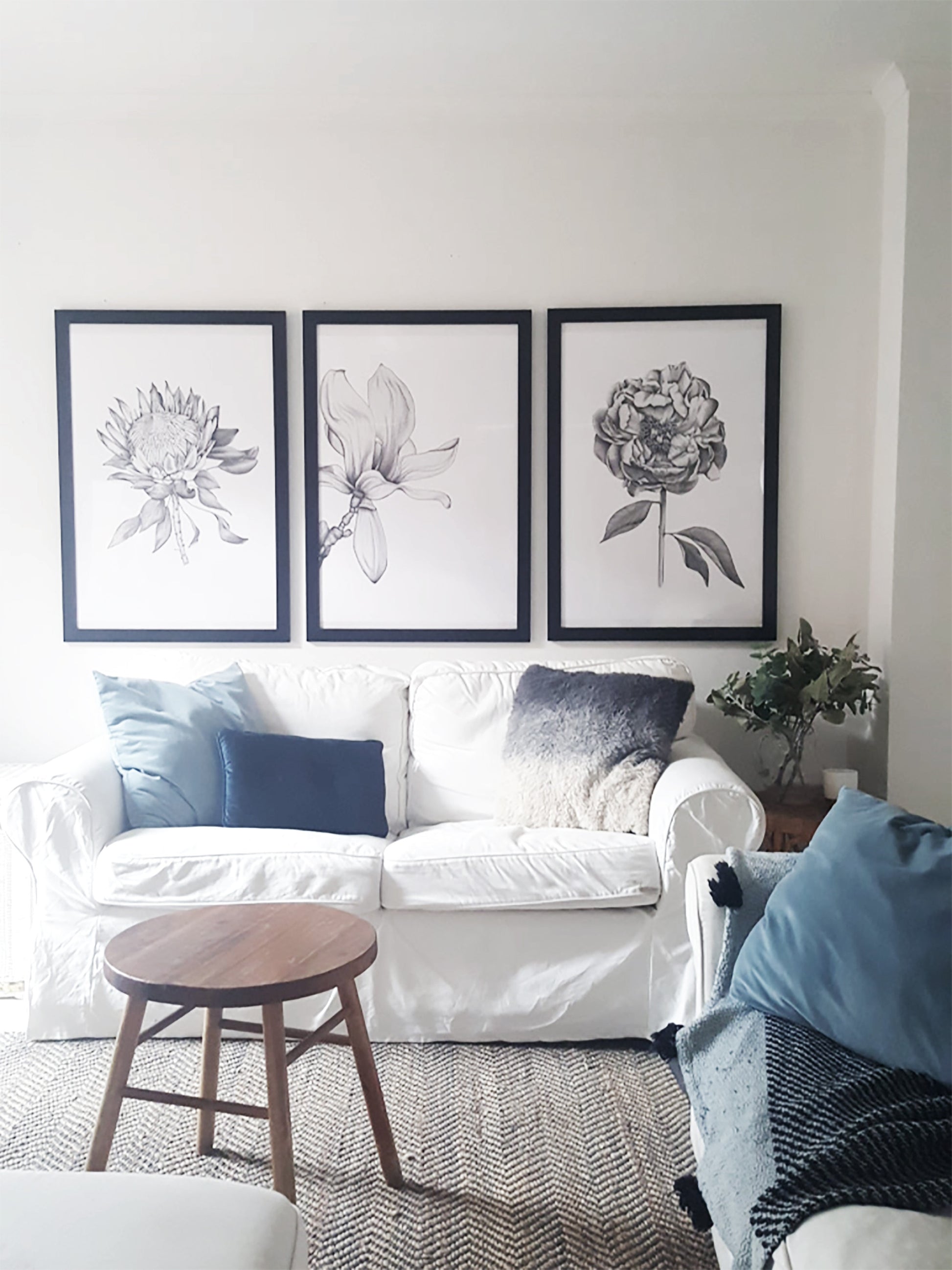 set of 3 prints offer. Save $30 on the Protea, Magnolia and Peony illustrations