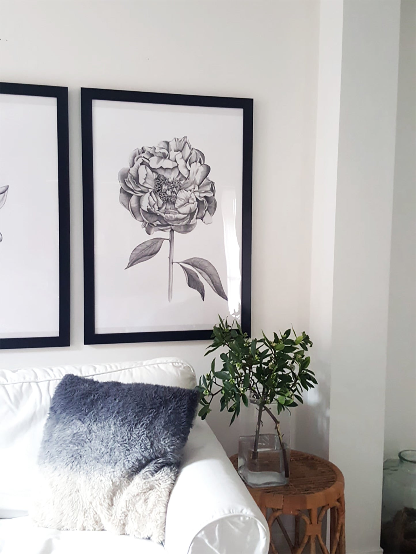 Peony illustration, buy on it's own or as a set of 3 with the Magnolia and Protea print.